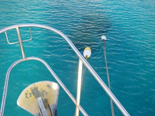 The best mooring system ever - two buoys for added security © BW Media